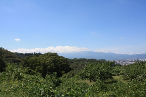 今日も吾妻小富士に雲がかかっていました。残念。