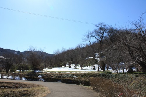 少しずつ雪もとけてきていますね。