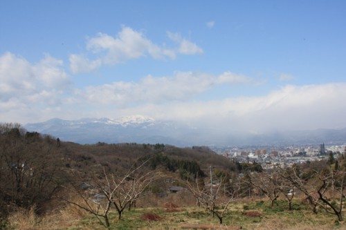 少し小さくなってしまいましたが雪うさぎも徐々に姿を現してきました。