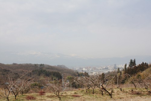 空気が柔らかくなっていますね。