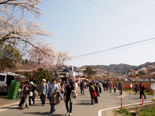 花見山までの通りも賑わっています