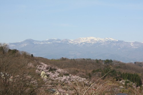 今日は雪うさぎが見えました