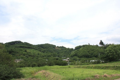 写真でも夏の陽気を感じられませんか？