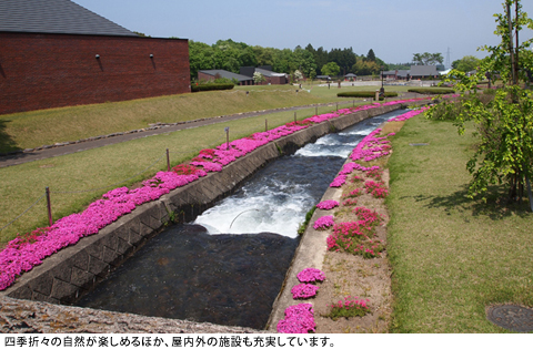 shiki-1