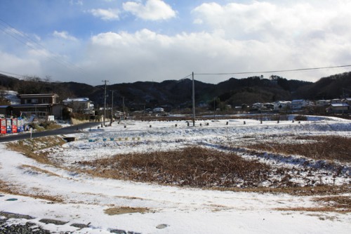 寒波の影響でとても冷えます。