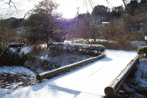 今朝の雪からまだ誰も渡っていませんでした