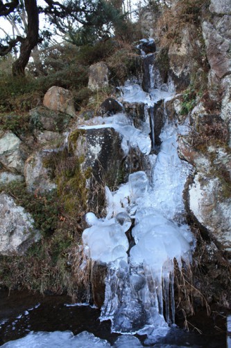 不動明王の滝が凍っています