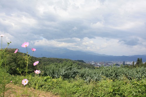 そろそろ吾妻連邦も色付いてきそうですね。