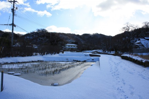 菖蒲が咲いていた所も氷が張って寒々としています。 寒い中でも人が訪れた跡がありました。