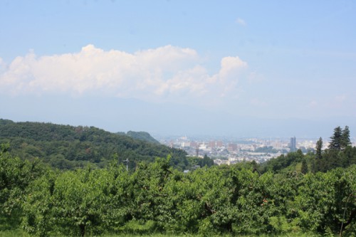 暑さで霞んでいますね。下の木は福島の名産、桃です。