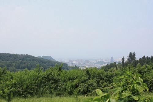 この頃、暑さなのか大気汚染物質の飛来なのか、白く霞んでいる日が多いです