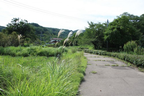 花見山201508