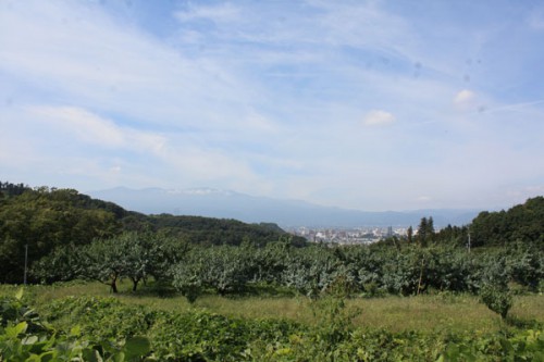 トンボが飛んでいたり、清々しい秋晴れでした