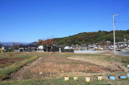 福島県福島市の花見山公園