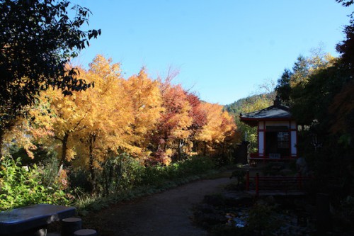 福島県福島市の花見山公園 紅葉