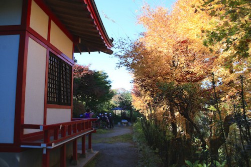 福島県福島市の花見山公園 紅葉