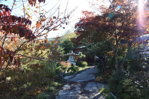 福島県福島市の花見山公園 紅葉