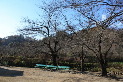 福島県福島市花見山公園の情報15121h2