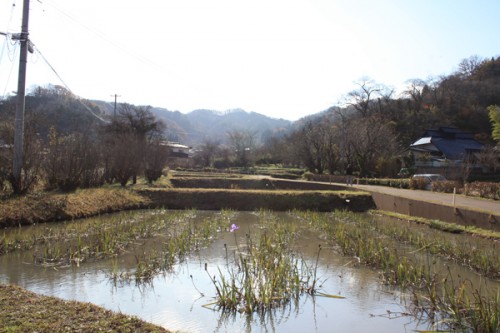 福島県福島市花見山公園の情報15121h5