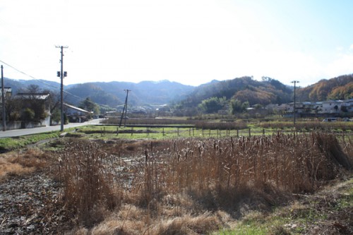 福島県福島市花見山公園の情報15121h7