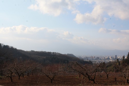 福島県福島市花見山公園の情報　吾妻連峰の写真