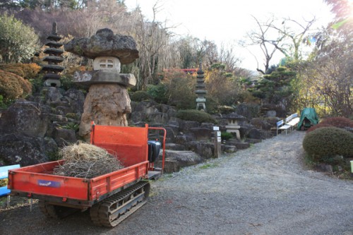 福島県福島市花見山公園の情報　花見山のツツジ庭の写真