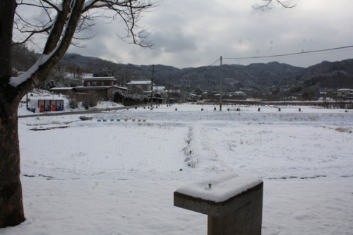 福島県福島市花見山公園の情報　蒲池に雪の写真