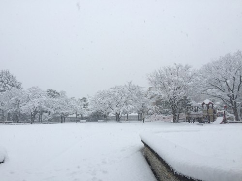 201601降雪