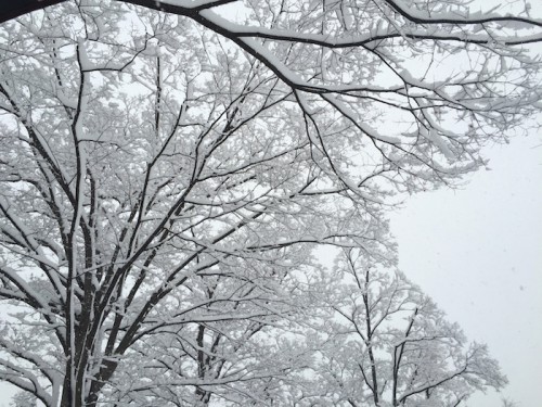 201601降雪