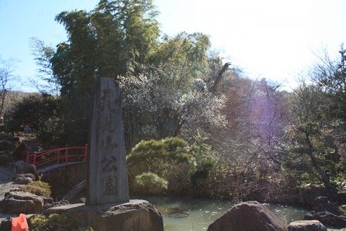 福島県福島市花見山公園の情報