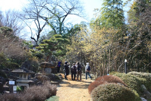 福島県福島市花見山公園の情報