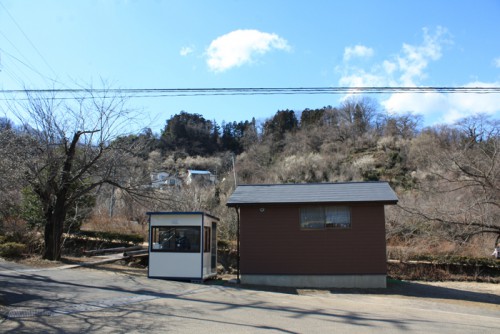 福島県福島市花見山公園の情報