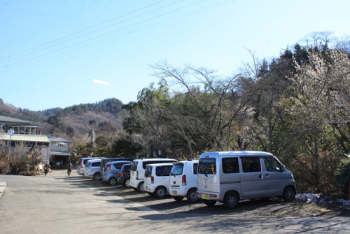 福島県福島市花見山公園の情報