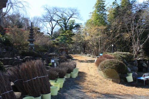 福島県福島市花見山公園の情報