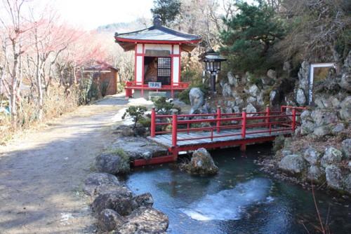 福島県福島市花見山公園の情報