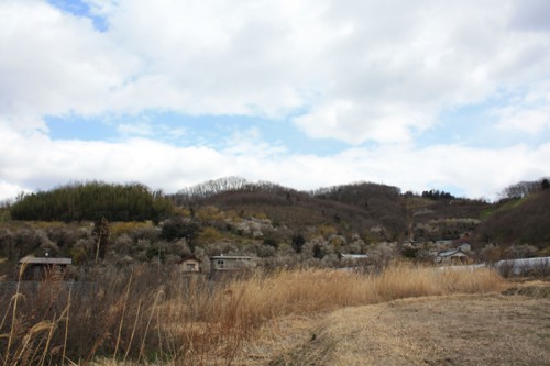 福島県福島市花見山公園の情報