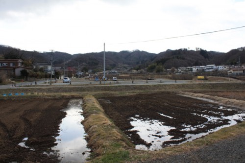 福島県福島市花見山公園の情報