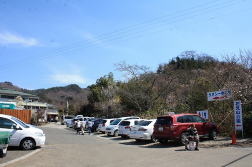 福島県福島市花見山公園の情報