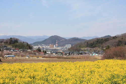 福島県福島市花見山公園の情報