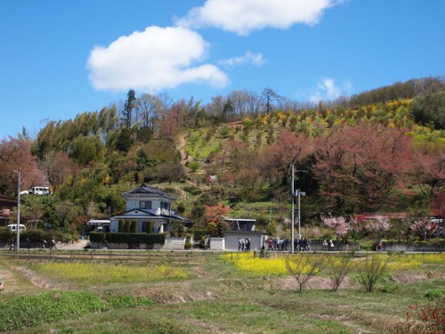 140415　福島県福島市花見山公園の情報