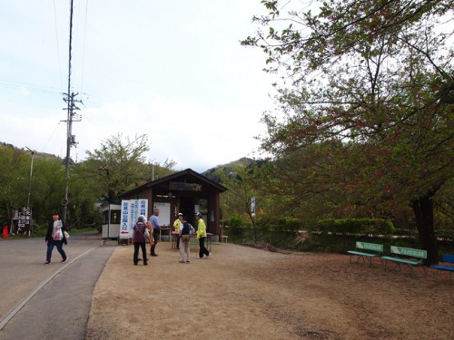 福島県福島市花見山公園の情報　花の案内人