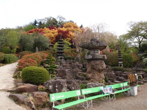 160422h12　福島県福島市花見山公園の情報　杖