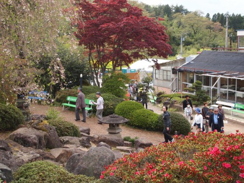 160422h3　福島県福島市花見山公園の情報