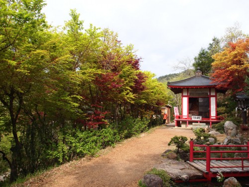 160422h6　福島県福島市花見山公園の情報　不倒堂　デショウジョウ