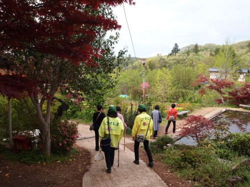 160422h9　福島県福島市花見山公園の情報　睡蓮