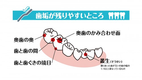 福島県歯科医師会 「歯と口の健康週間」