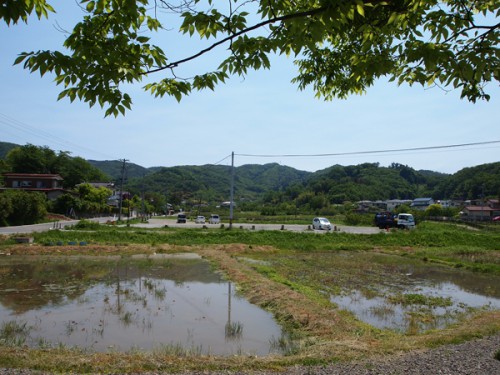 150519　福島県福島市花見山公園の情報　水飲み場裏からの眺め