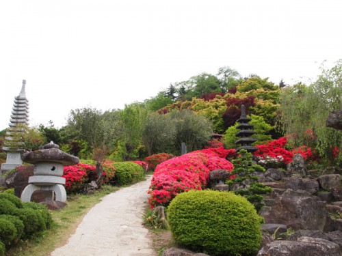 福島県福島市花見山公園の情報　つつじ　庭園