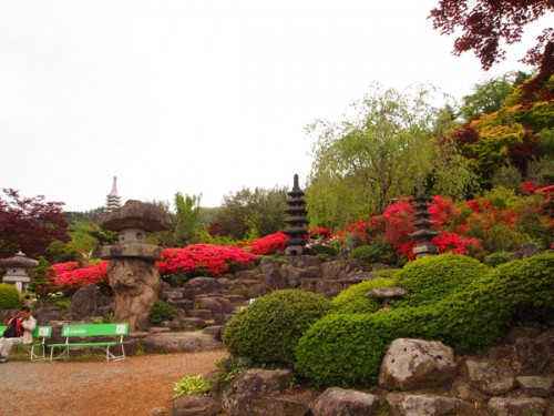 福島県福島市花見山公園の情報　庭園　つつじ