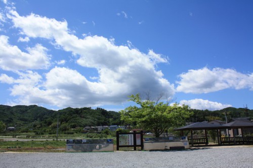 6100 福島県福島市花見山公園の情報 2016年6月1日